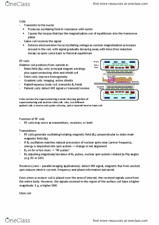 MIRA2015 Lecture Notes - Lecture 4: Free Induction Decay, Larmor Precession, Spin Echo thumbnail