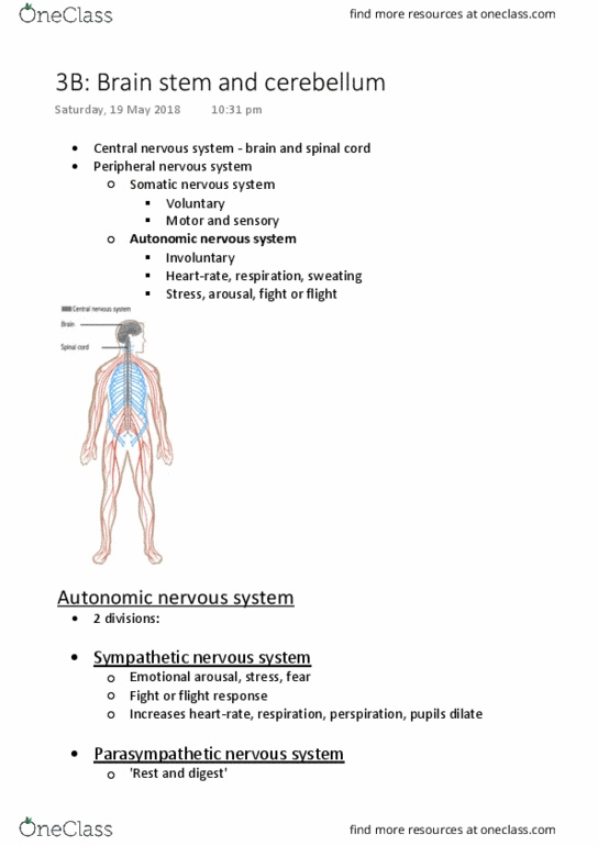 PSYC1020 Lecture Notes - Lecture 3: Parasympathetic Nervous System, Sympathetic Nervous System, Autonomic Nervous System thumbnail