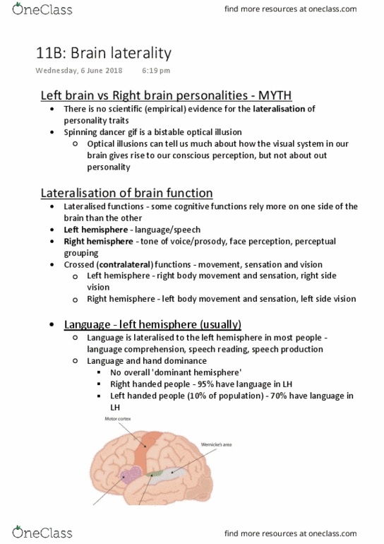 PSYC1020 Lecture Notes - Lecture 11: Lateralization Of Brain Function, Peripheral Vision, Optical Illusion thumbnail