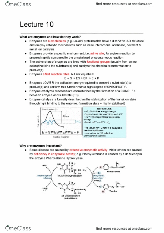 BCMB20002 Lecture Notes - Lecture 10: Enzyme Catalysis, Zanamivir, Phenylpyruvic Acid thumbnail