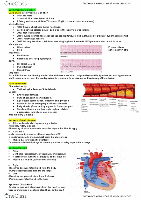 PATH1001 Lecture Notes - Lecture 10: Coronary Artery Disease, Coronary Circulation, Thoracic Vertebrae thumbnail