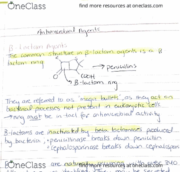 MEDI3002 Lecture 1: Antimicrobial Agents thumbnail