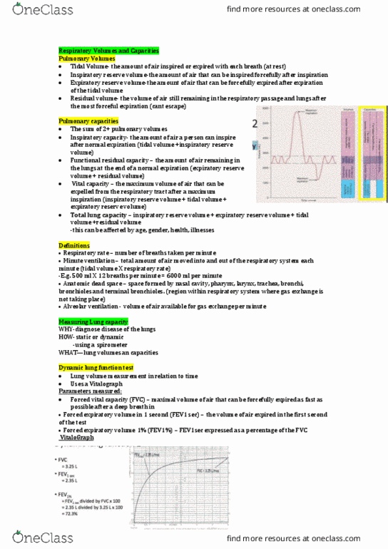 HUMB1000 Lecture Notes - Lecture 4: Functional Residual Capacity, Pulmonary Function Testing, Respiratory Minute Volume thumbnail
