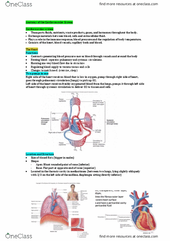 HUMB1000 Lecture Notes - Lecture 6: Pulmonary Circulation, Thoracic Cavity, Blood Vessel thumbnail