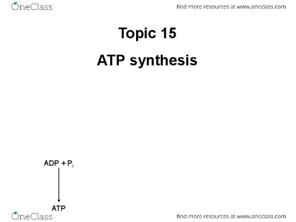 Biochemistry 2280A Lecture Notes - Atp Hydrolysis, Stoichiometry, Chemiosmosis thumbnail