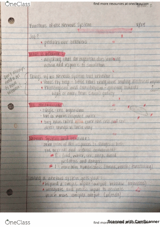 BIOL 1251 Lecture 2: lecture 2 notes thumbnail