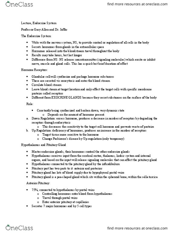 ANAT 1010 Lecture Notes - Lecture 3: Sella Turcica, Pituitary Gland, Anterior Pituitary thumbnail