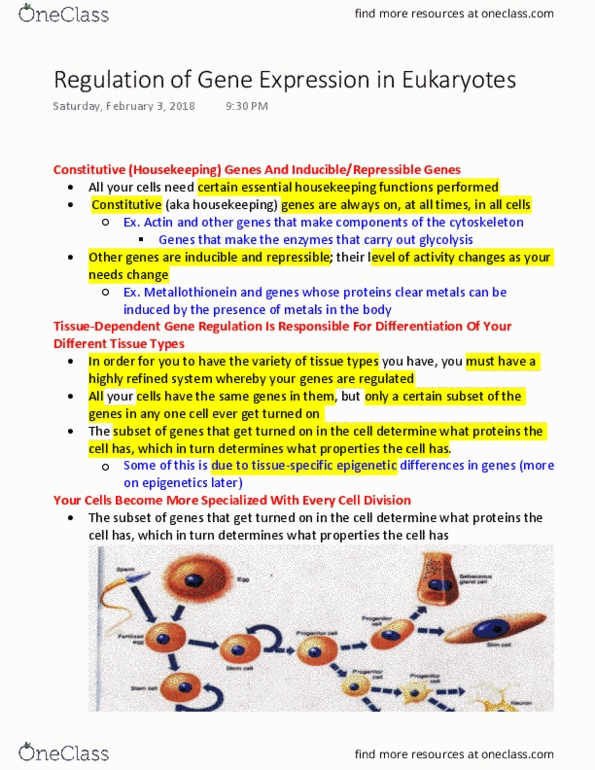 01:447:380 Lecture Notes - Lecture 6: Cytoskeleton, Actin, Hyperlipidemia thumbnail