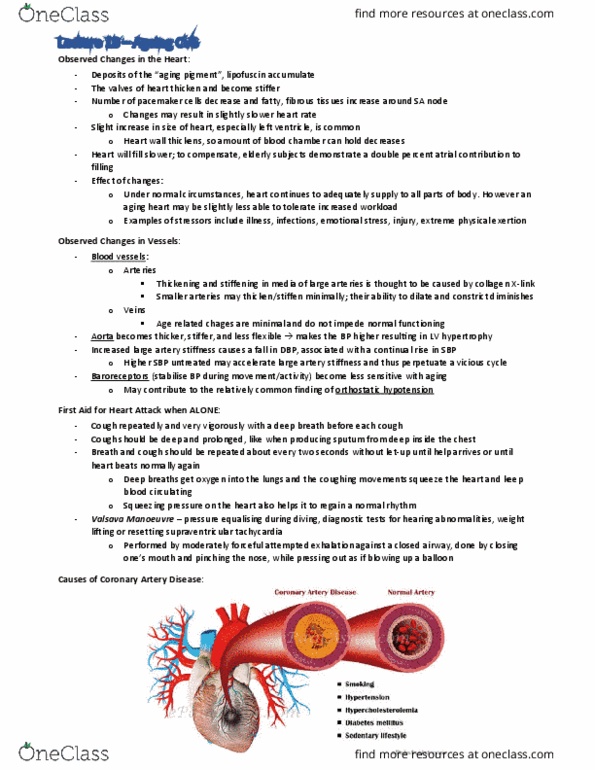 BIOM3010 Lecture Notes - Lecture 13: Supraventricular Tachycardia, Coronary Artery Disease, Orthostatic Hypotension thumbnail