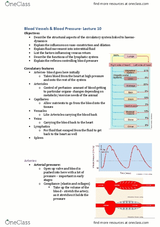 DASC20010 Lecture Notes - Lecture 10: Lymphatic Vessel, Extracellular Fluid, Hypertension thumbnail
