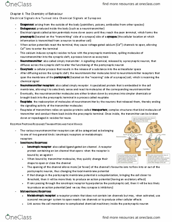 PSY290H5 Chapter Notes - Chapter 4: Chemical Synapse, Axon Terminal, Ligand-Gated Ion Channel thumbnail