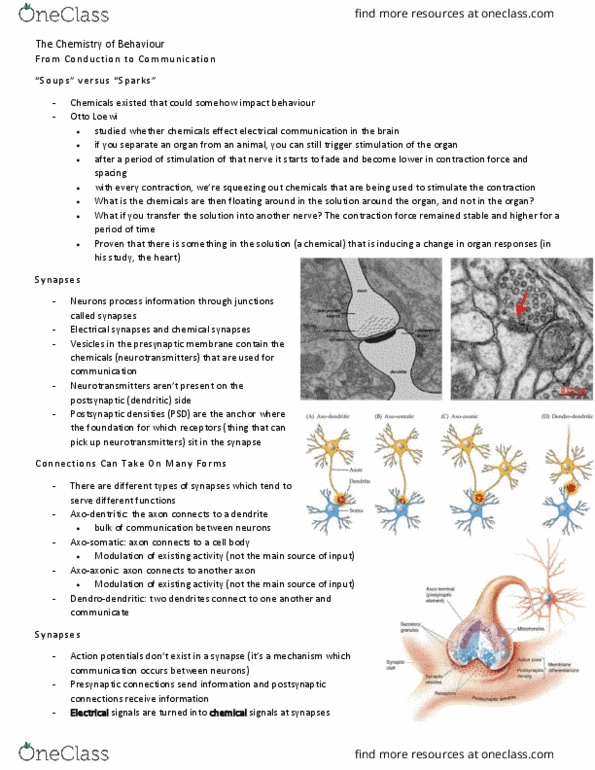 PSY290H5 Lecture Notes - Lecture 5: Otto Loewi, Axon Terminal, Main Source thumbnail