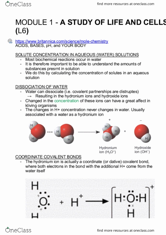 BIOM1050 Lecture Notes - Lecture 6: Covalent Bond, Hydronium, Logarithmic Scale thumbnail