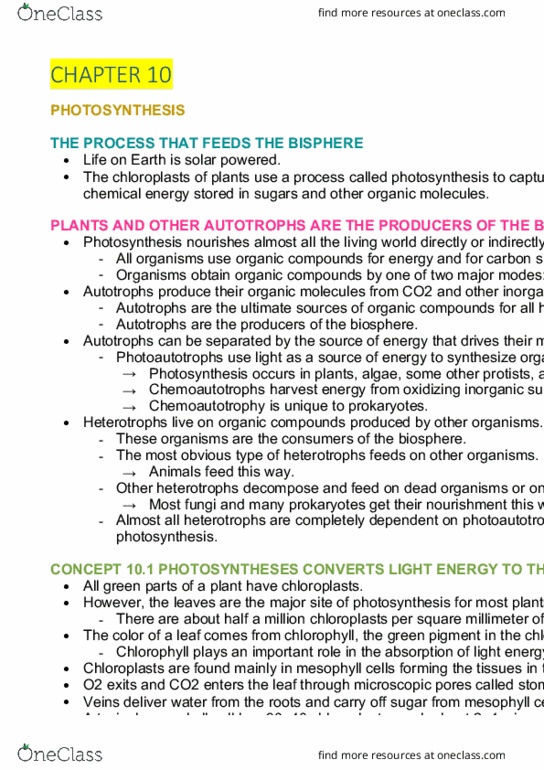 AGRC1021 Lecture Notes - Lecture 3: Photosynthetic Pigment, Autotroph, Chloroplast thumbnail