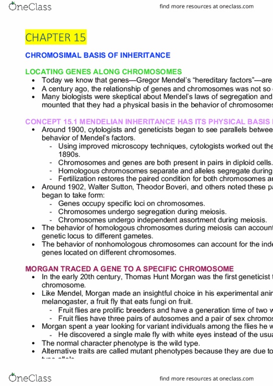 AGRC1021 Lecture Notes - Lecture 7: Thomas Hunt Morgan, Theodor Boveri, Homologous Chromosome thumbnail