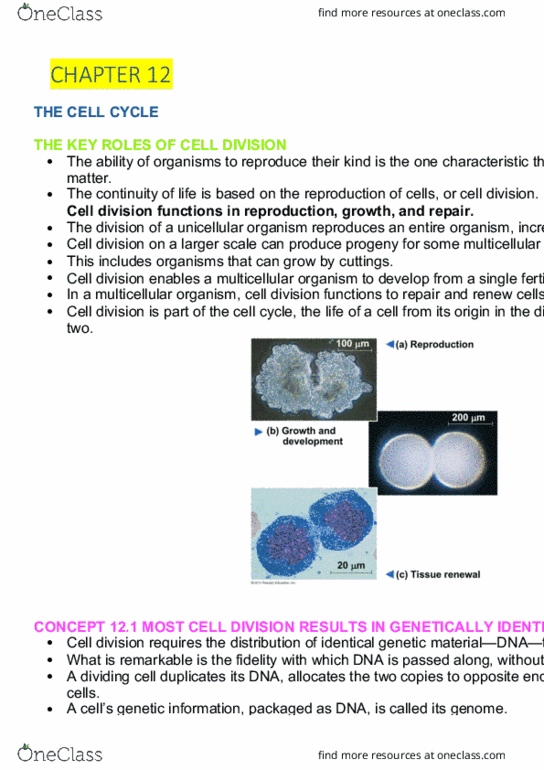 AGRC1021 Lecture Notes - Lecture 4: Sister Chromatids, Somatic Cell, Multicellular Organism thumbnail