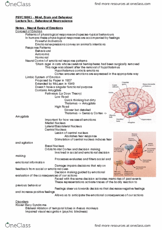 HIST10014 Lecture Notes - Lecture 10: Polyphagia, Lesion, Hypothalamus thumbnail