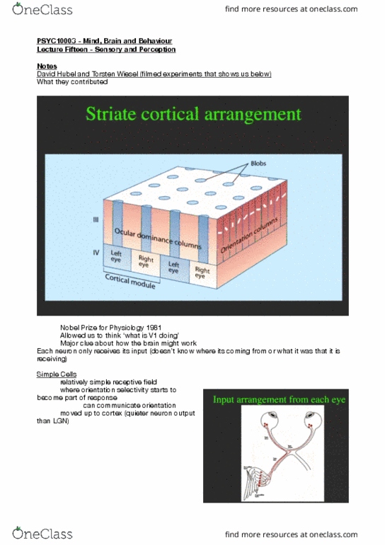 document preview image