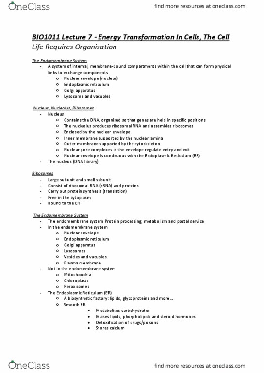 BIO1011 Lecture Notes - Lecture 7: The Postal Service, Nuclear Membrane, Nuclear Lamina thumbnail