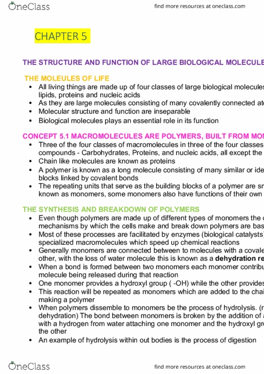 AGRC1020 Lecture Notes - Lecture 4: Dehydration Reaction, Asymmetric Carbon, Aldose thumbnail