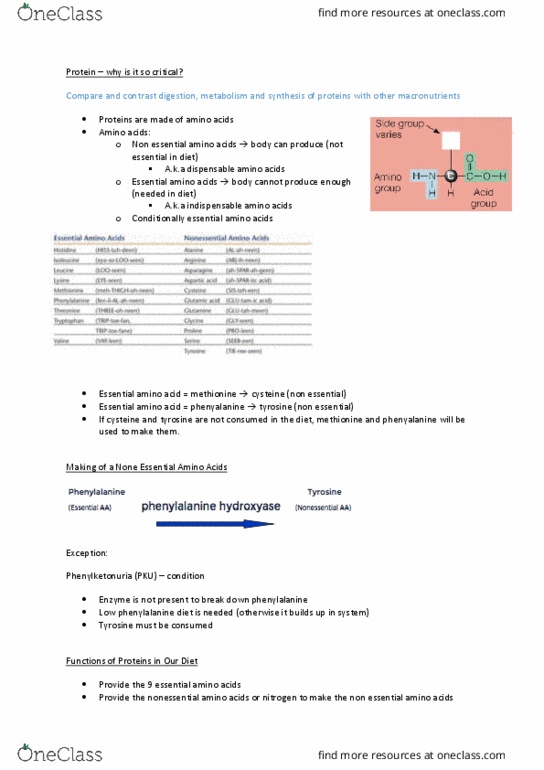 MEDI110 Lecture Notes - Lecture 11: Essential Amino Acid, High-Protein Diet, Protein Quality thumbnail