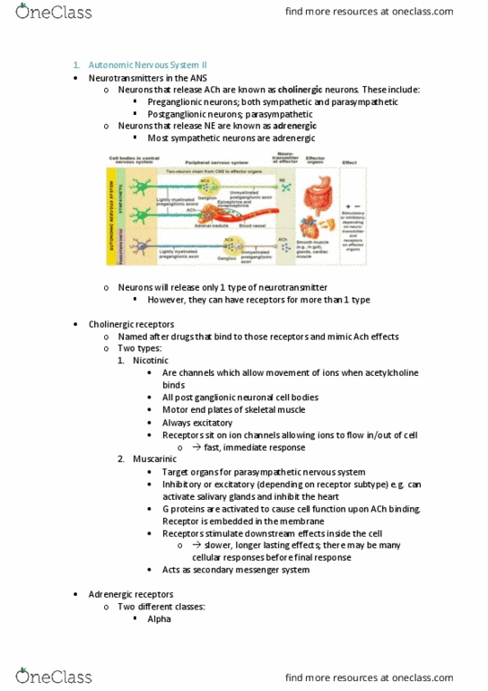MEDI112 Lecture Notes - Lecture 5: Autonomic Nervous System, Postganglionic Nerve Fibers, Cholinergic thumbnail