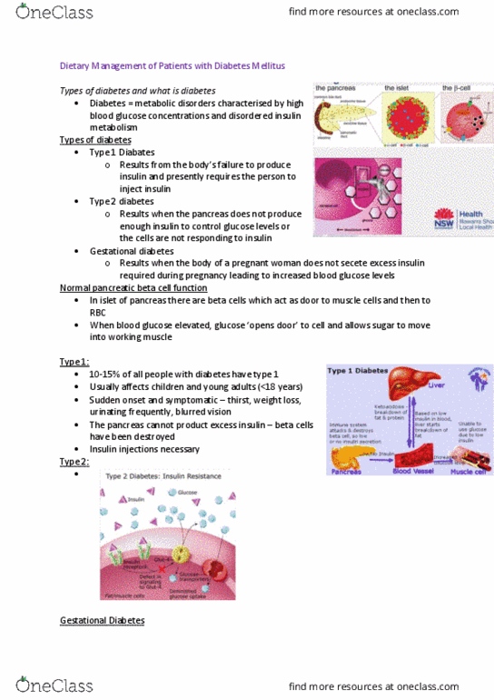 MEDI150 Lecture Notes - Lecture 3: Beta Cell, Gestational Diabetes, Insulin thumbnail