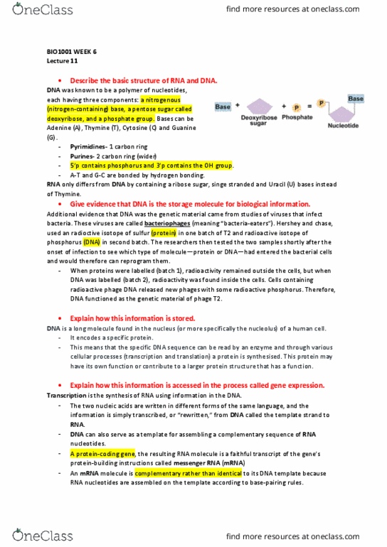 BIO1011 Lecture Notes - Lecture 11: Rna Splicing, Silent Mutation, Intron thumbnail
