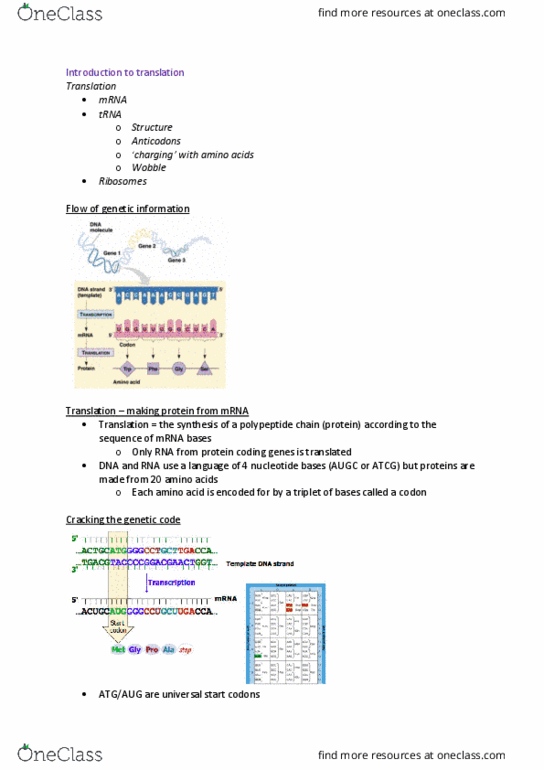 BIOL213 Lecture Notes - Lecture 10: Start Codon, Genetic Code, Transfer Rna thumbnail