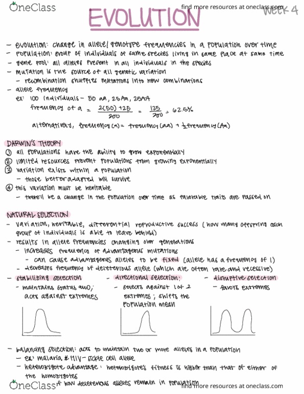 LIFESCI 7B Lecture Notes - Lecture 4: Heterozygote Advantage, Allele Frequency, Genotype Frequency thumbnail