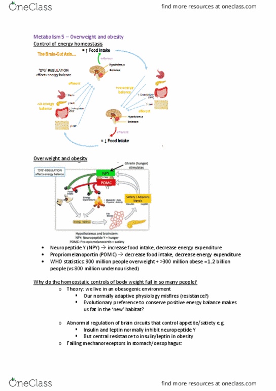 MEDI211 Lecture Notes - Lecture 6: Neuropeptide Y, Proopiomelanocortin, Leptin thumbnail
