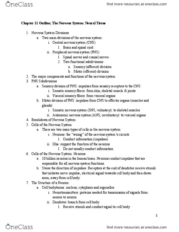 HAN 200 Lecture Notes - Lecture 11: Central Nervous System, Afferent Nerve Fiber, Somatic Nervous System thumbnail