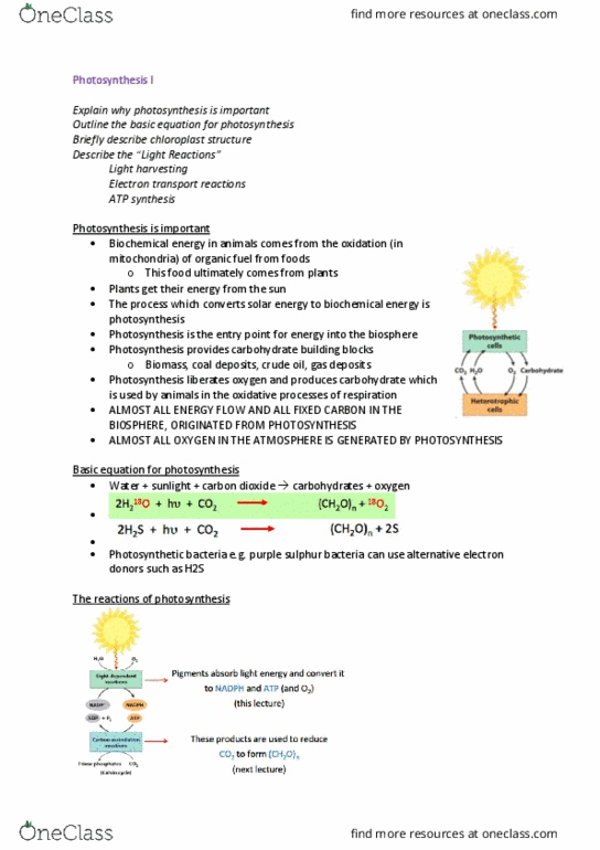 BIOL214 Lecture Notes - Lecture 12: Biofuel, Photosynthesis, Chloroplast thumbnail