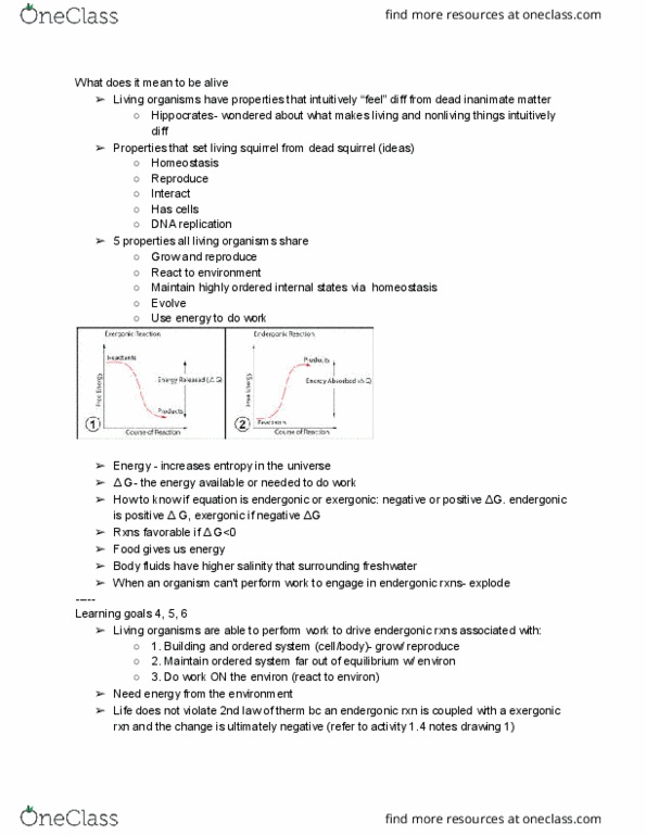 IB 150 Lecture Notes - Lecture 1: Endergonic Reaction, Dna Replication, Homeostasis thumbnail