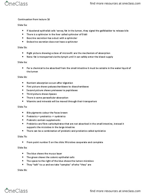 BIOL 1080 Lecture Notes - Lecture 17: Probiotic, Paracellular Transport, Duodenum thumbnail