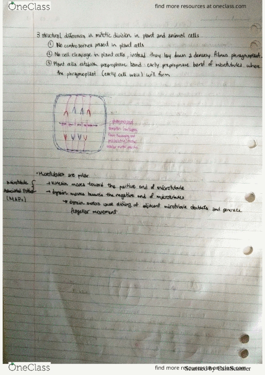 BIOL10004 Chapter 5: BIOL10004-Accumulative-Notes-6-6 thumbnail