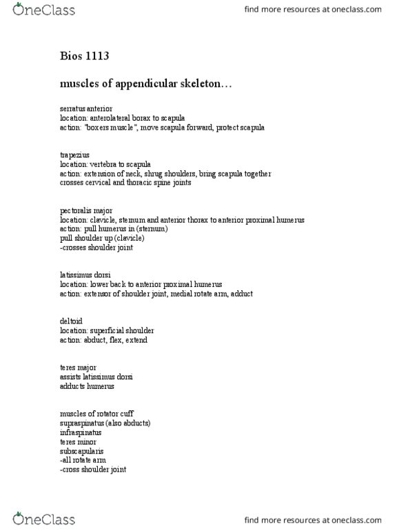 BIOS-1113 Lecture Notes - Lecture 10: Latissimus Dorsi Muscle, Triceps Brachii Muscle, Biceps thumbnail