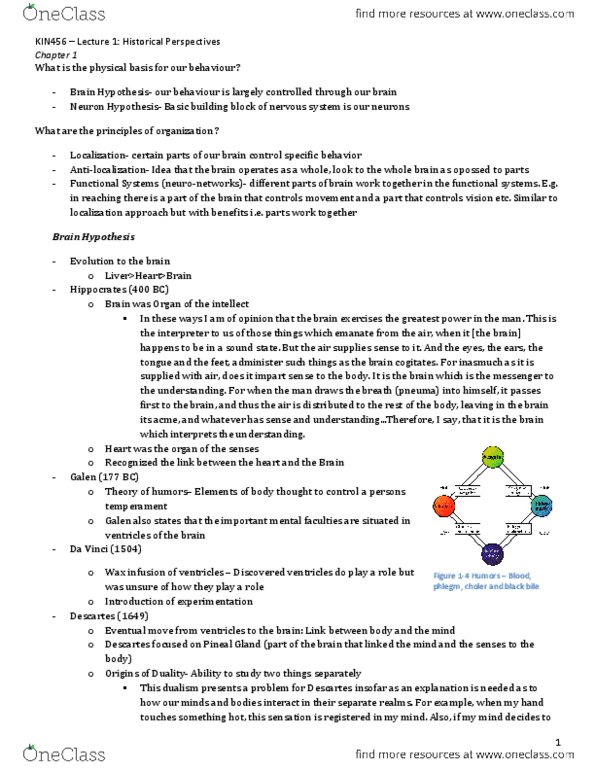 KIN456 Lecture Notes - Nerve Net, Retinotopy, White Matter thumbnail