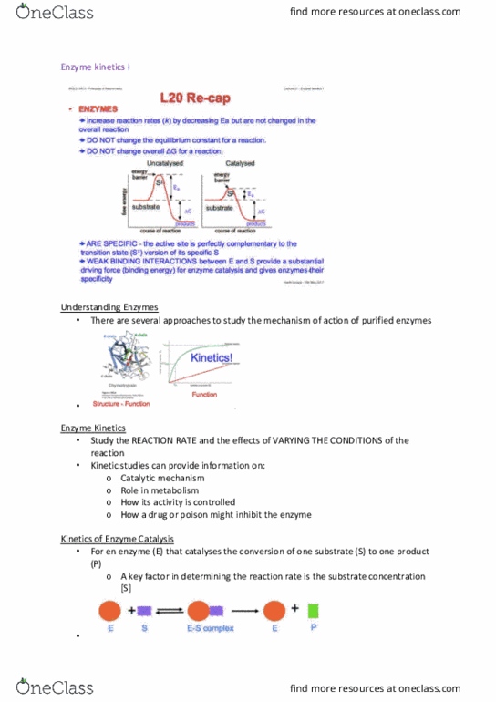 BIOL213 Lecture Notes - Lecture 12: Enzyme Kinetics, Enzyme, Specific Activity thumbnail