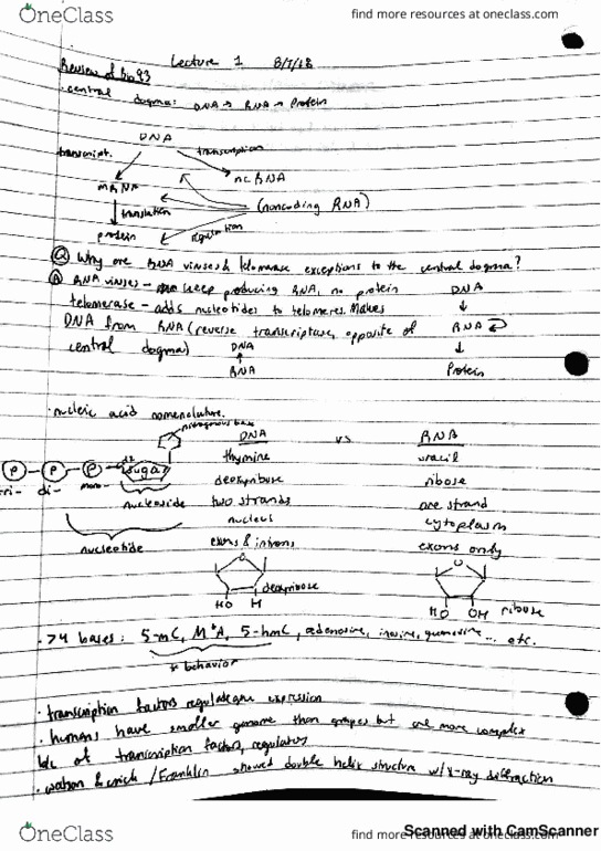 BIO SCI 99 Lecture 1: 8/7/18 Tuesday Week 1 thumbnail