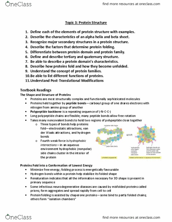 Biochemistry 2280A Lecture Notes - Lecture 3: Spontaneous Process, Lysozyme, Cell Membrane thumbnail
