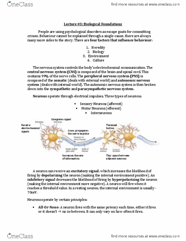 PSY100H1 Lecture Notes - Synesthesia, Phineas Gage, Neuroplasticity thumbnail