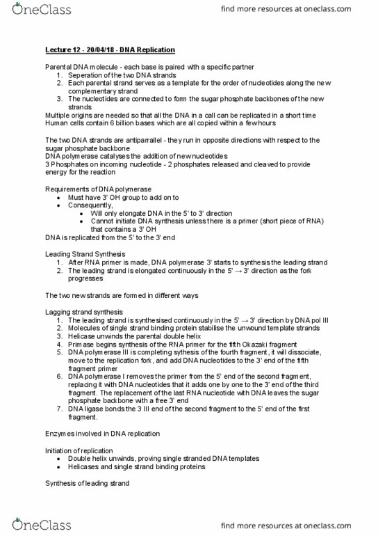 BABS1201 Lecture Notes - Lecture 12: Helicase, Thymidine, Telomere thumbnail