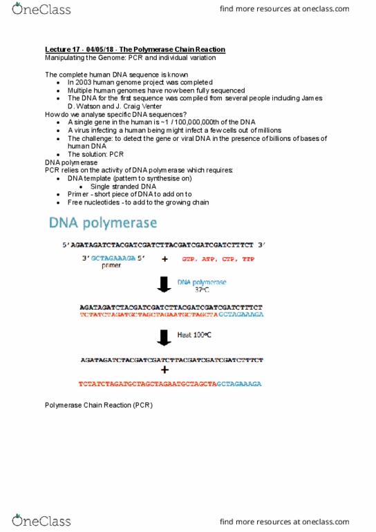 BABS1201 Lecture Notes - Lecture 17: Dna Profiling, Thermophile, Human Genome Project thumbnail