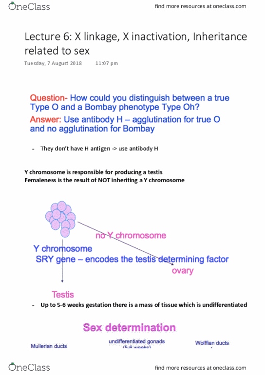BIOL10005 Lecture Notes - Lecture 6: Fibrinogen, Factor Ix, Haemophilia B thumbnail