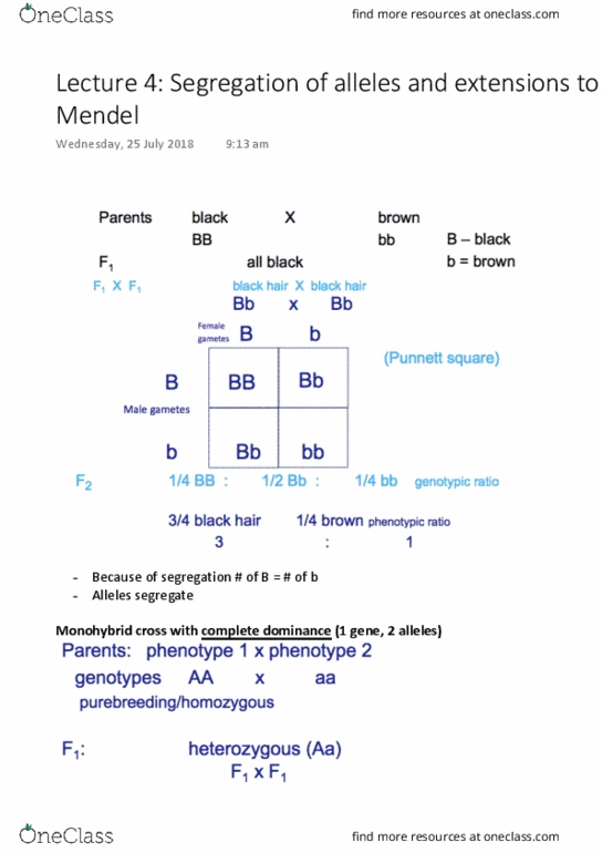 BIOL10005 Lecture Notes - Lecture 4: Achondroplasia, Penetrance, Pleiotropy thumbnail
