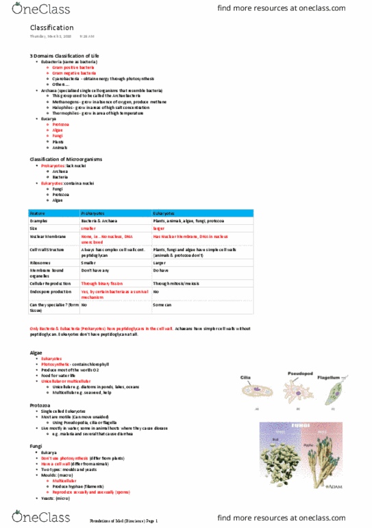 GMED1000 Lecture Notes - Lecture 3: Simple Cell, Motility, Peptidoglycan thumbnail