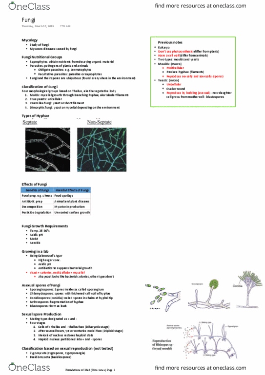 GMED1000 Lecture Notes - Lecture 8: Saprotrophic Nutrition, Food Spoilage, Sporangium thumbnail