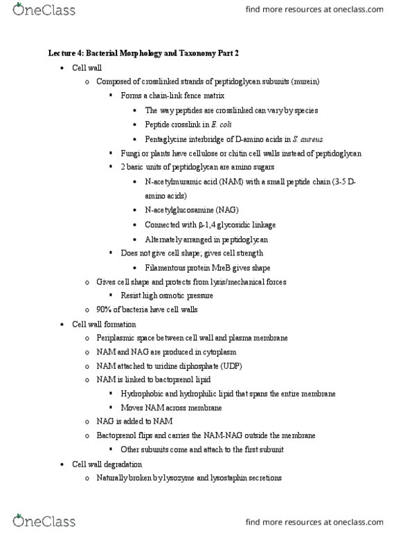 BIO 315 Lecture Notes - Lecture 4: Bacterial Taxonomy, Aureus, Vancomycin thumbnail
