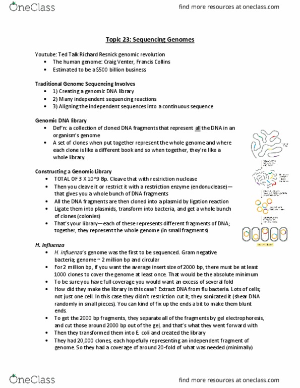 Biochemistry 2280A Lecture Notes - Lecture 23: Exon, Prokaryote, Consensus Sequence thumbnail